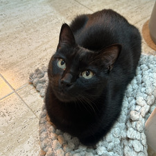 jiajia ⋆⭒˚｡⋆