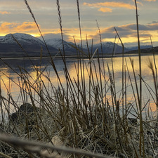 Stella❤️ Valborg