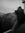 Anik J Huard