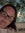 Carrie Reeve