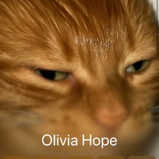Olivia Hope