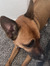 Alyssa ...