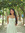 Sophie Pham
