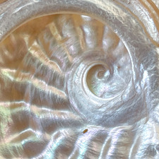 sparklejumpropequeen