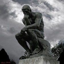 آلاء عبدالرحمن 