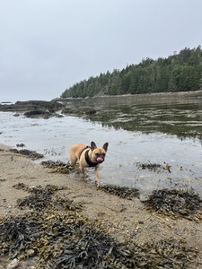 Victoria Fitzpatrick