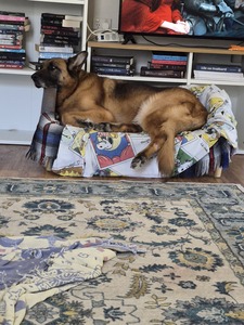 Kate