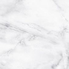 MaddoxReadsSometimes