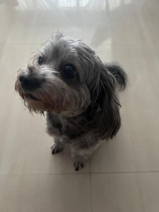 Szee Ning [lowk ia sorry guys 😔]