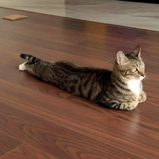 Noor ͙⁺˚*･༓☾ ͙⁺˚*･