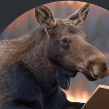 TheLiterary Moose