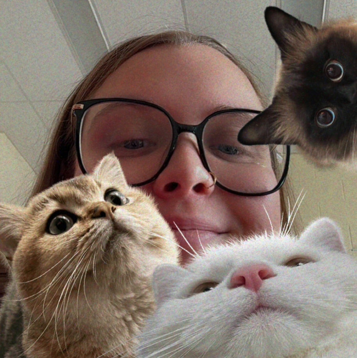 Goodreads profile picture for @icicles