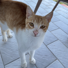 Zoë