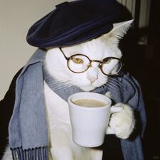 샤벌레. ｓｈｉａｈ