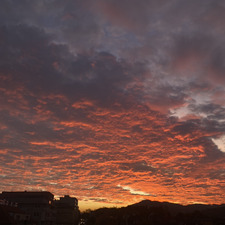 Michaela Leichterová