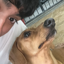 :D Pato