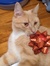 Thomas
