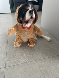Ella