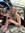 Natalie Fairchild