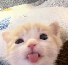 aud ˏˋ°•*⁀➷