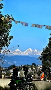 Veera