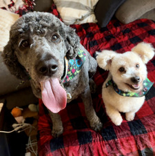 Vicki VanLoo