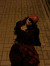 Anet