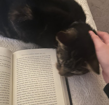 sophie ⚢⋆☽˚⋆₊✧