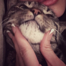 laura °❀⋆.ೃ࿔*:･