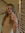 Macie Gluck