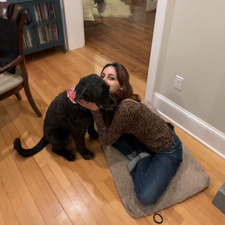 यास्तिका