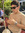 Erick Achach