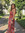 Carly Bisesar