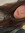 Leah Sauur