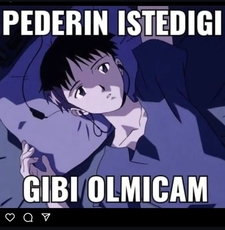 Miran