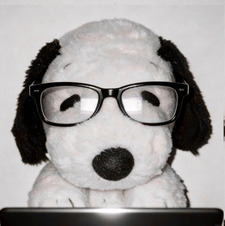 Madison ( ˶ˆᗜˆ˵ )