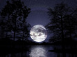 Jeni