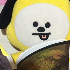 Fer (⁠◍⁠•⁠ᴗ⁠•⁠◍⁠)