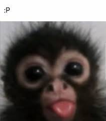 plinkoball