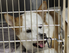 Katelyŋ(✿◡‿◡)