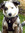 member photo member photo