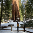 Krista
