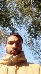 Saqib Bashir 