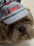 Buster ...