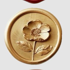 Sofía ੈ✩‧₊˚