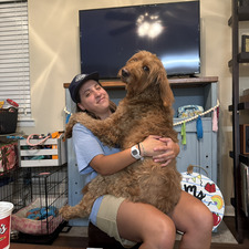 Sarah Romines