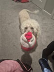 Winifred