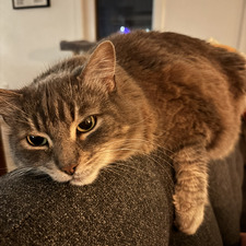 Raphaëlle Rouillard