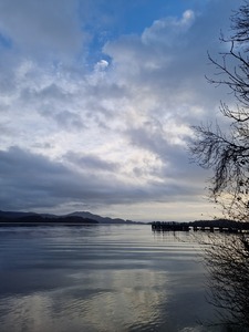 Lissandre.D