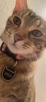 Emilie